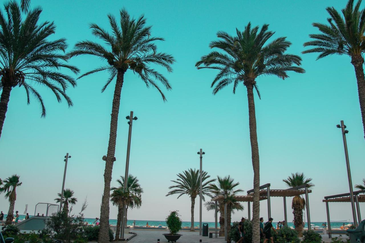 Texas Lejlighed Alicante Eksteriør billede